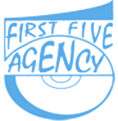 FIRST FIVE AGENCY- WEB DESIGN, programare web, aplicatii web, 